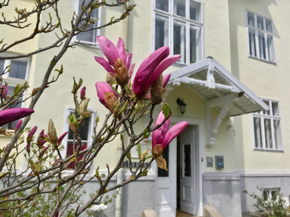 Landhaus Blauer Spatz Reichenau An Der Rax ภายนอก รูปภาพ